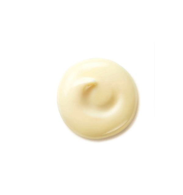 SHISEIDO Benefiance Wrinkle Smoothing Day Cream SPF 23